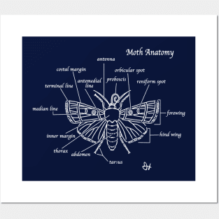 Moth Anatomy Cheat Shirt Posters and Art